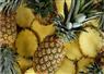 Camnews