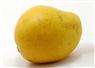 Camnews