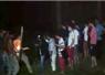 Camnews