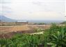Camnews