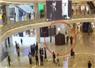 Camnews