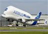Camnews