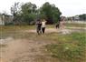 Camnews