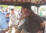 Camnews