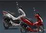 Camnews