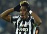Camnews