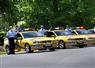 Camnews