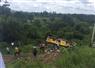 Camnews