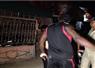 Camnews