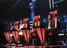 Camnews
