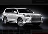 Camnews
