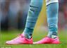 Camnews
