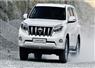Camnews