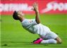 Camnews