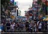 Camnews