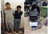 Camnews
