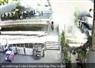 Camnews