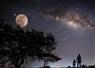 Camnews
