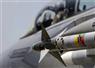 Camnews