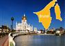 Camnews