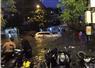 Camnews