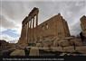 Camnews
