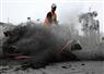 Camnews