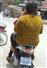 Camnews