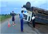 Camnews