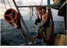 Camnews