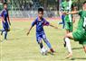 Camnews