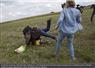 Camnews