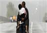 Camnews