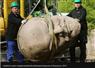 Camnews