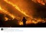 Camnews