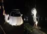 Camnews