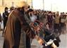Camnews