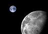 Camnews