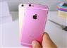 Camnews