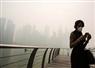 Camnews