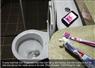 Camnews