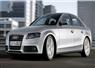 Camnews