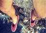 Camnews