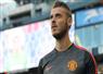 Camnews
