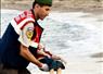Camnews