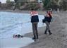 Camnews