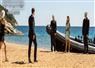Camnews