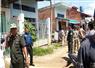 Camnews