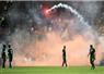 Camnews