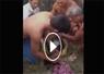 Camnews